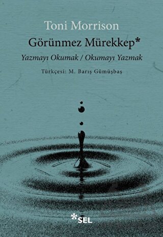 Görünmez Mürekkep: Yazmayı Okumak - Okumayı Yazmak