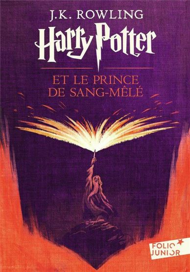 Harry Potter Et Le Prince De Sang-Mele