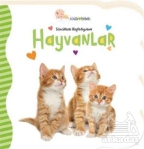 Hayvanlar - Sözcükleri Keşfediyorum