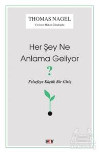 Her Şey Ne Anlama Geliyor?