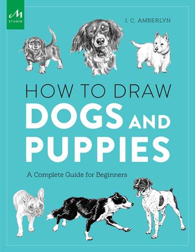 How To Draw Dogs And Puppies