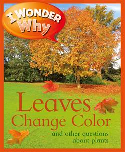 I Wonder Why The Leaves Change Color