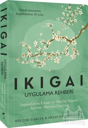 Ikigai - Uygulama Rehberi