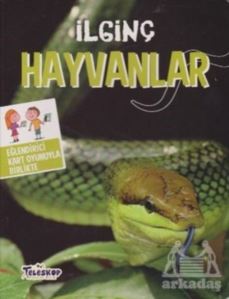 İlginç Hayvanlar