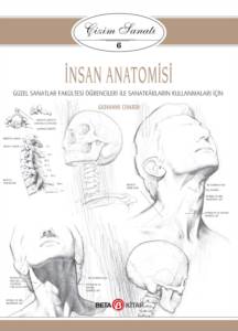 İnsan Anatomisi