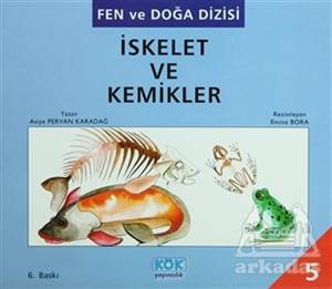 İskelet Ve Kemikler