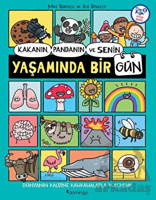 Kakanın, Pandanın Ve Senin Yaşamında Bir Gün