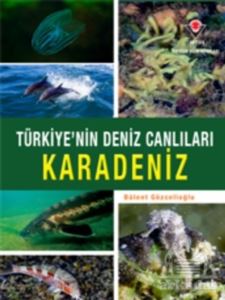 Karadeniz - Türkiye'nin Deniz Canlıları