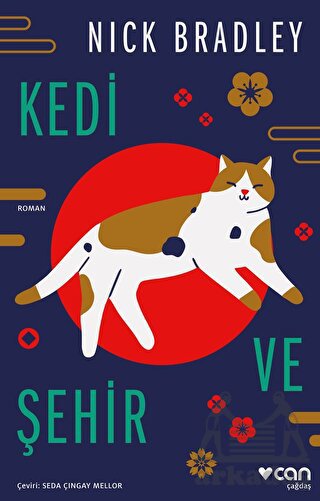 Kedi Ve Şehir