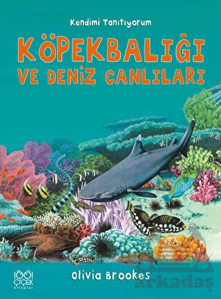 Köpek Balığına ve Diğer Deniz Canlılarına Soralım