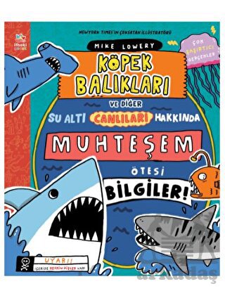 Köpek Balıkları Ve Diğer Su Altı Canlıları Hakkında Muhteşem Ötesi Bilgiler!