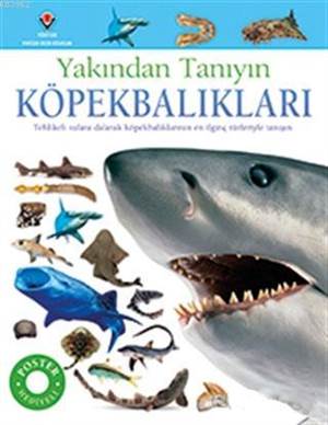 Köpekbalıkları - Yakından Tanıyın