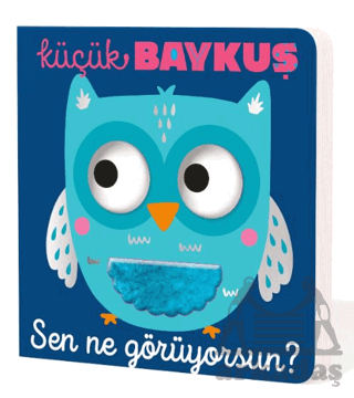 Küçük Baykuş Sen Ne Görüyorsun?