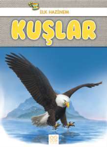 Kuşlar