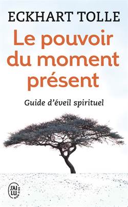 Le Pouvoir du moment present