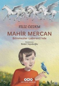 Mahir Mercan - Bilinmezler Labirenti'nde