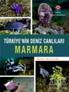 Marmara - Türkiye'nin Deniz Canlıları