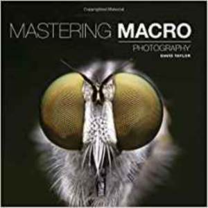 Mastering Macro Photography