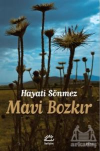 Mavi Bozkır