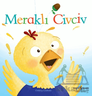 Meraklı Civciv