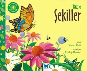 Mevsimlerle Matematik Yaz ve Şekiller