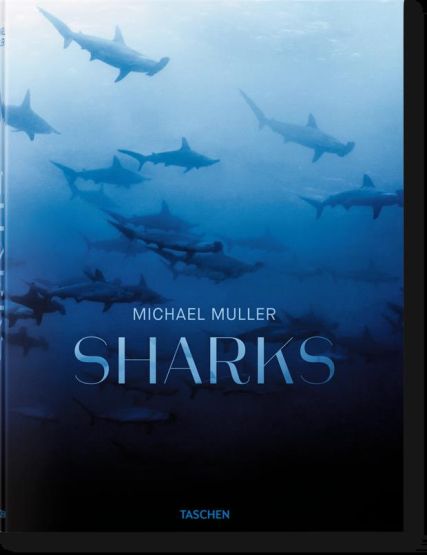 Michael Muller. Sharks - Thumbnail