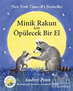 Minik Rakun İçin Öpülecek Bir El