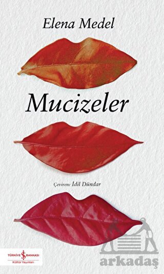 Mucizeler