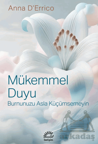 Mükemmel Duyu