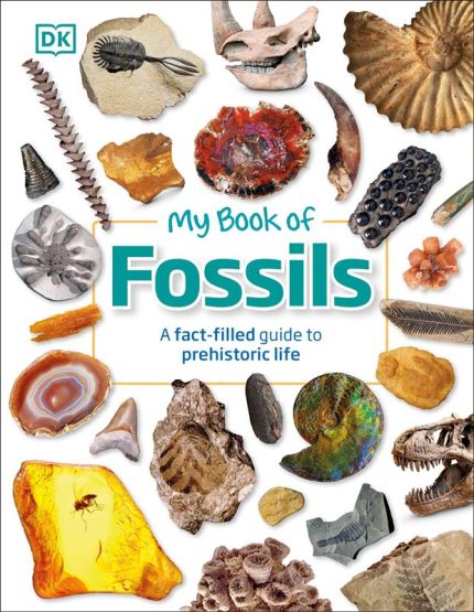 My Book of Fossils - My Book Of