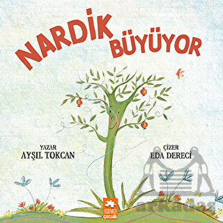 Nardik Büyüyor