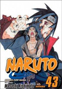 Naruto 43