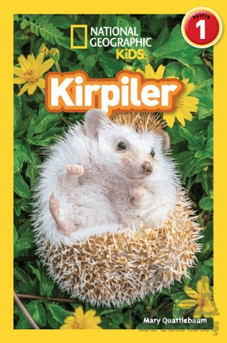 National Geographic Kids Okuma Serisi Seviye 1 - Kirpiler - Thumbnail