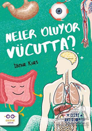 Neler Oluyor Vücutta? – Cezve Ansiklopedi