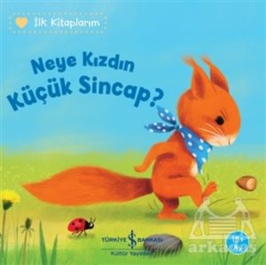 Neye Kızdın Küçük Sincap?