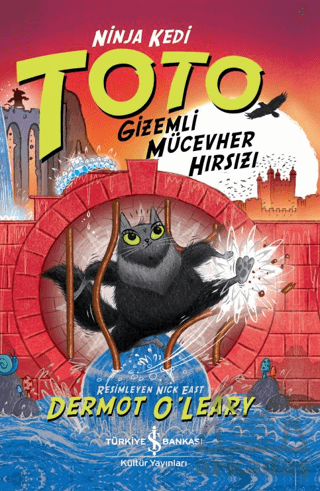 Ninja Kedi Toto - Gizemli Mücevher Hırsızı