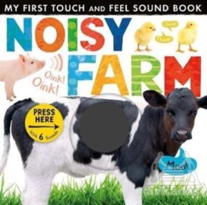 Noisy Farm (Touch And Feel Sound Book)