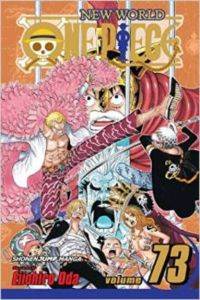 One Piece 73