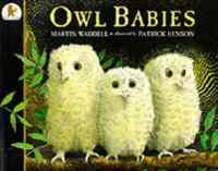 Owl Babies