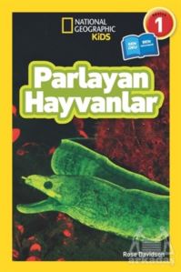 Parlayan Hayvanlar - Seviye 1