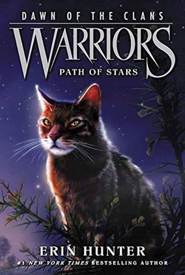 Path of Stars - Warriors. Dawn of the Clans