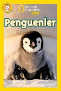 Penguenler