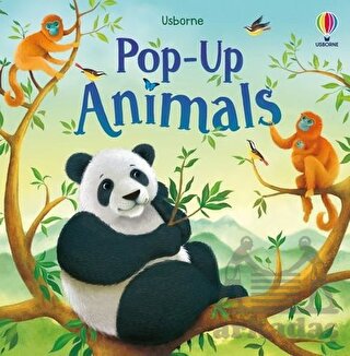 Pop-Up Animals