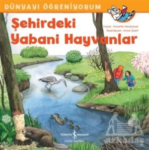 Şehirdeki Yabani Hayvanlar - Dünyayı Öğreniyorum