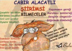 Şiirimsi Bilmeceler; Mizah Dizisi