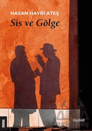 Sis Ve Gölge