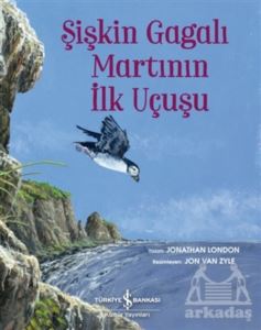 Şişkin Gagalı Martının İlk Uçuşu