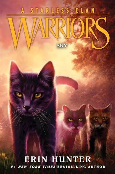 Sky - Warriors. A Starless Clan - Thumbnail