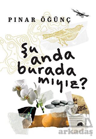 Şu Anda Burada Mıyız?