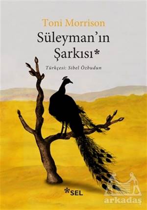 Süleyman'ın Şarkısı